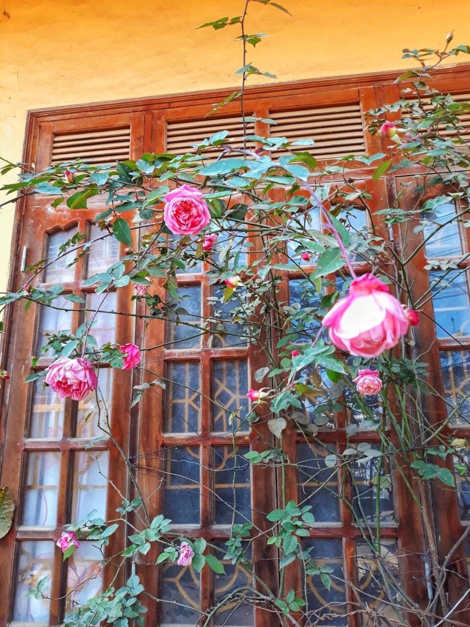 Thanh Ha Homestay Sapa Exterior photo